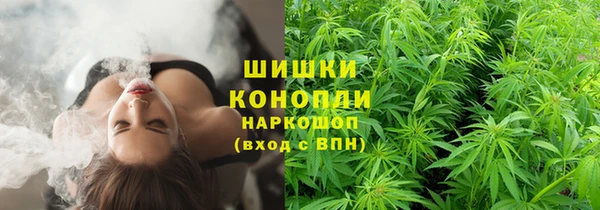 соль ск Осташков