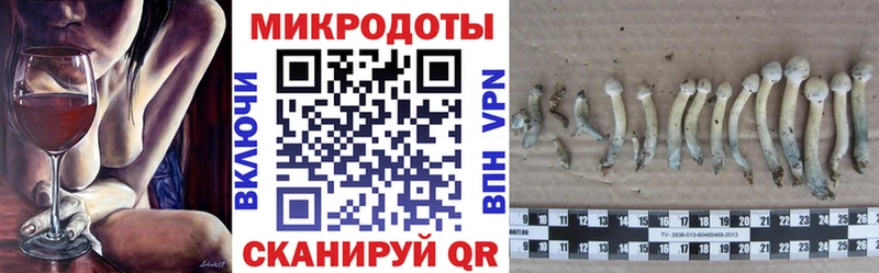 наркошоп  Братск  Галлюциногенные грибы Cubensis 