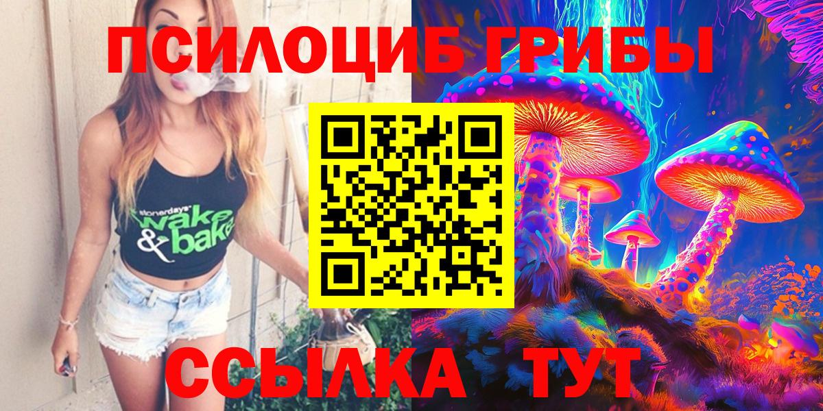 Галлюциногенные грибы GOLDEN TEACHER  Вход с VPN  Братск 