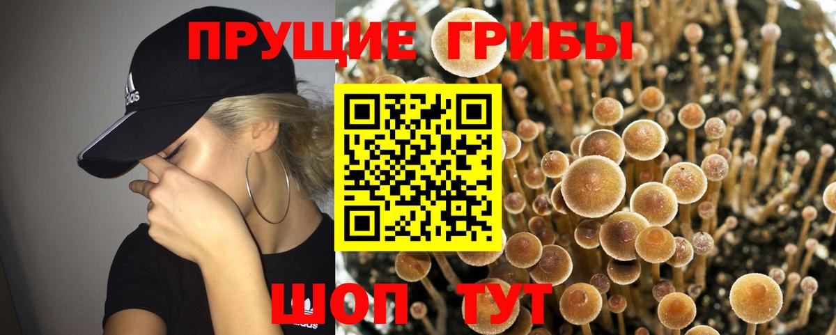 Галлюциногенные грибы прущие грибы  Братск 